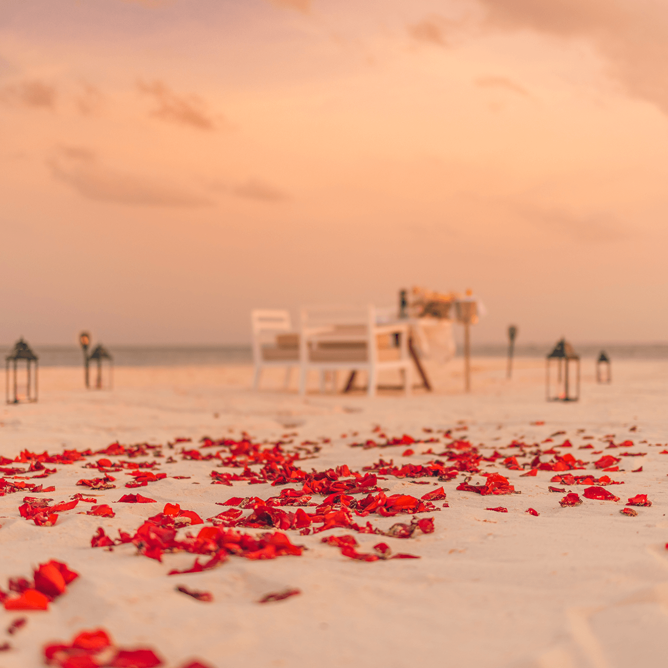 amazing-romantic-dinner-beach-with-candles-flowers-sunset-sky-romance-love